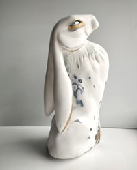 Lepus Albus - White Hare
