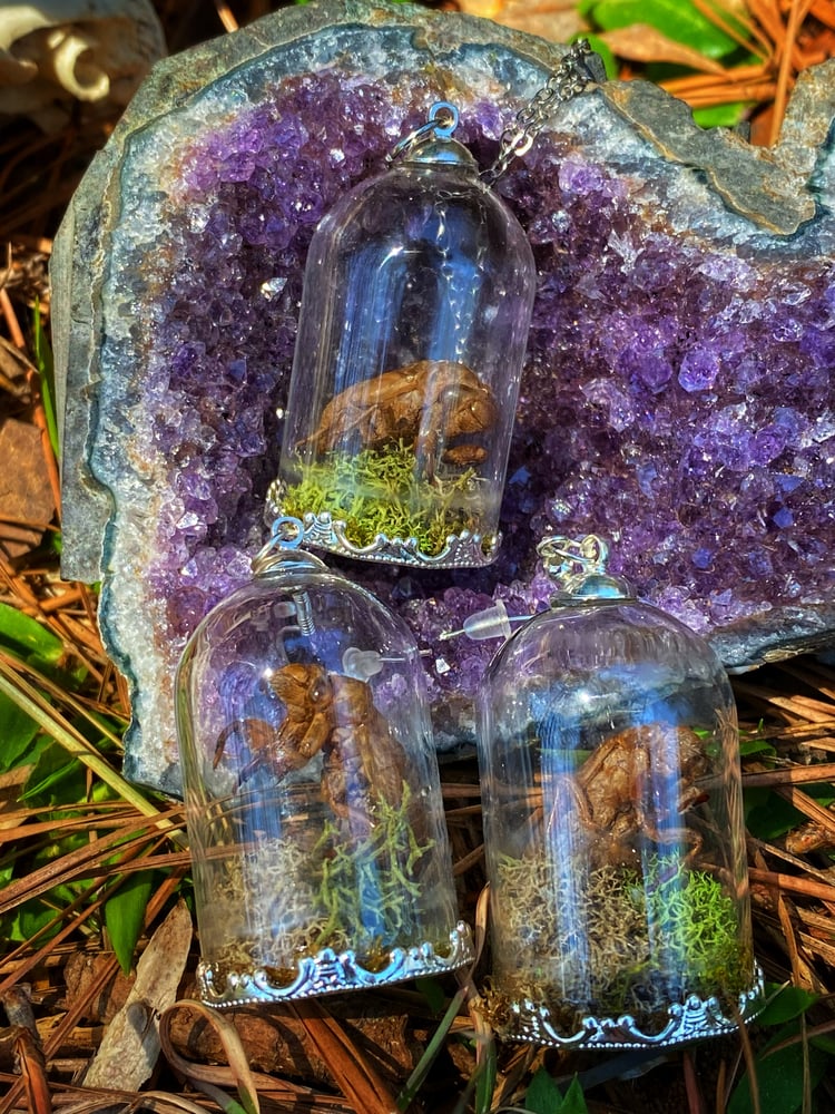 Image of Captured Cicada Necklace & Earring Set