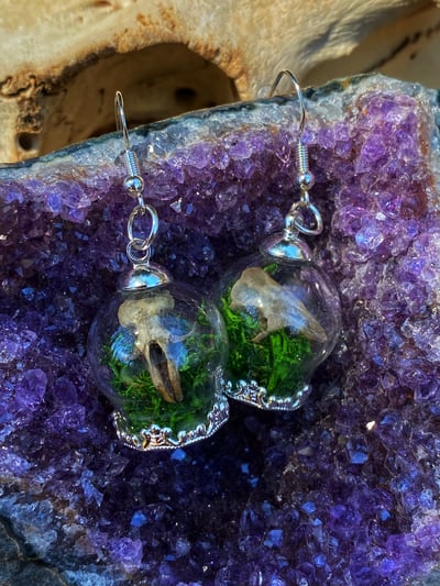 Image of Mini Skull Terrarium Earrings ~ Green Moss