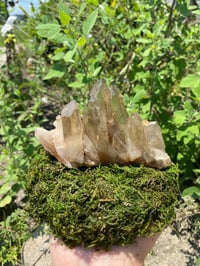 Image 1 of   Natural Smokey Citrine 