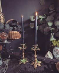 Image 1 of Leafy brass candle sticks 