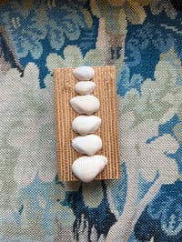 Image 1 of Shell Matches 