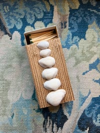 Image 2 of Shell Matches 