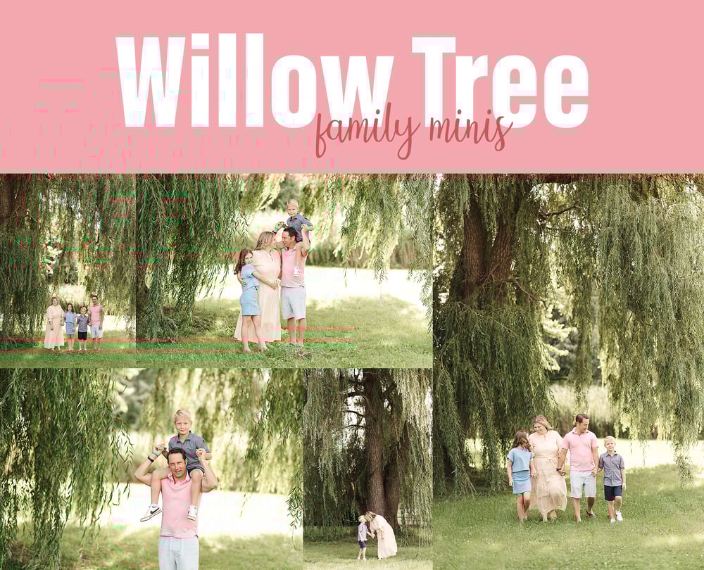 Image of WILLOW TREE family photos (deposit)