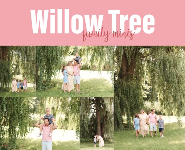 Image of WILLOW TREE family photos (deposit)