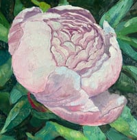 Image 1 of Blushing Peony Study