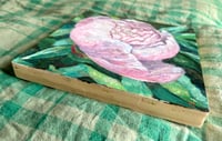 Image 2 of Blushing Peony Study