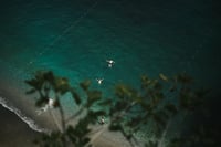 Float