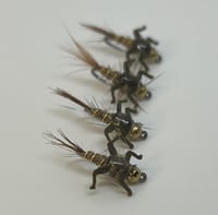Natural Pheasant Tail (Lively Legz)