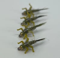 Olive Hare’s Ear (Lively Legz)