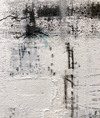 Image 3 of Reflections