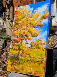 Image 4 of - Autumn Field -
