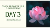 Image 5 of The Bloom Journey - 30-Day Self-Guided Flower Essence Adventure