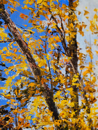 Image 3 of - The Path Through Autumn -