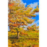 Image 1 of - Autumn Field -