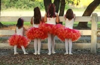 Image 3 of Sherbet Fluffy Tutu Hot Pink and Orange Tulle Skirt Girls Dress Up Wedding Holiday Birthday Dress
