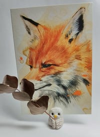 Image 2 of Kuvapidike, eri vaihtoehtoja