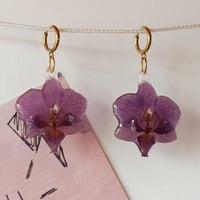 Image 1 of Pendientes orquídeas 🌸
