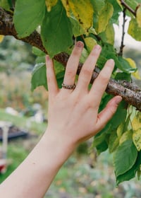 Image 1 of EARTH Ring