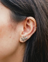 Image 1 of BRANCH Earrings