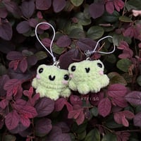 Pocket Frog Charm ‧🍄₊˚ 🐸⋅ 