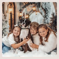 Image 2 of Christmas 2025