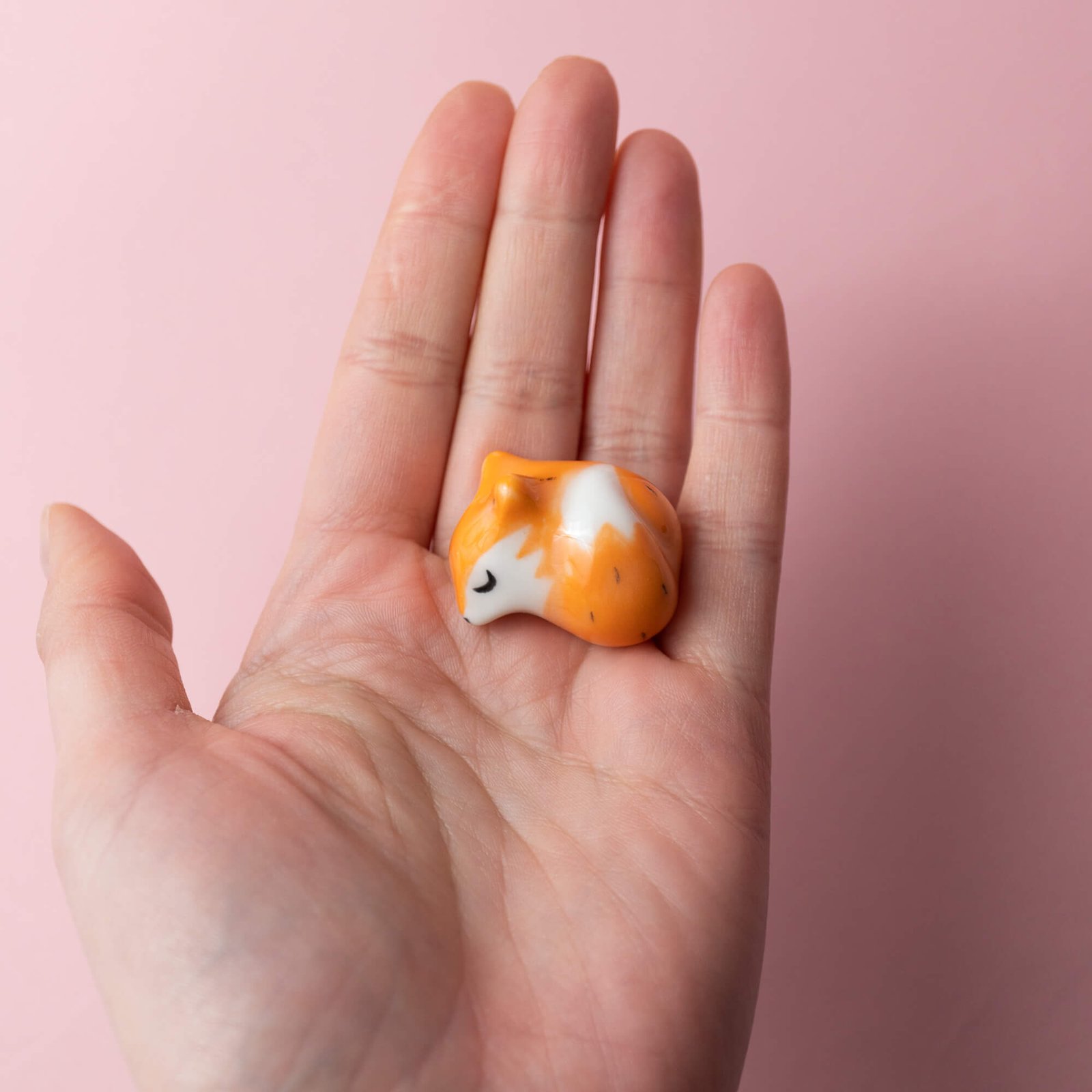 Daisy fox 🦊 | Mumiku