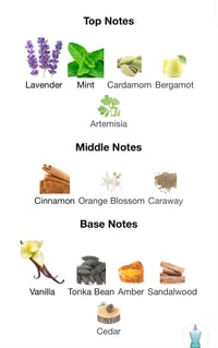 Image 3 of Jpg le male edt
