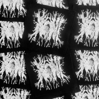KONI RAGS