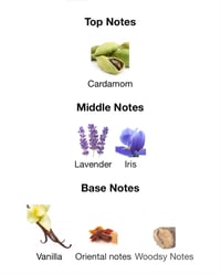 Image 3 of Jpg le male le parfum