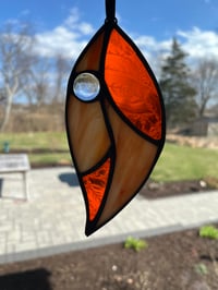 Image 3 of Leaf with Raindrop