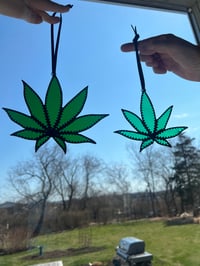 Image 1 of Cannabis Leaf