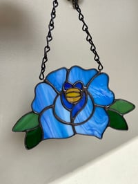 Image 3 of Blue Rose