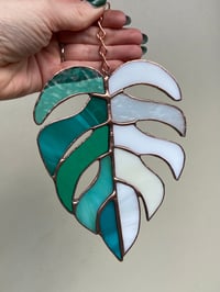 Image 1 of Teal & White Monstera