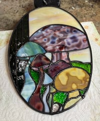 Image 2 of Shrooms