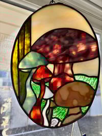 Image 1 of Shrooms