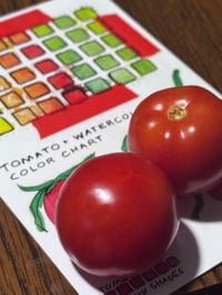 Image 5 of Fried Zine Tomato