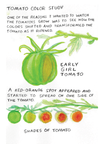 Image 2 of Fried Zine Tomato