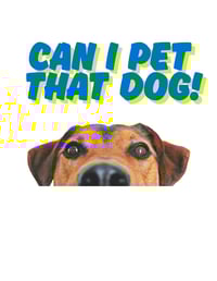 Pet Shirt 