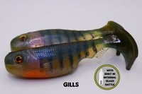 Image 1 of 3.5" Epic Pud Swimbait with Internal Rattles (Split Belly) (2 Pack) Gills