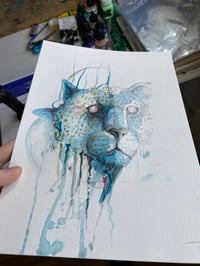 Image 2 of Félin doré 