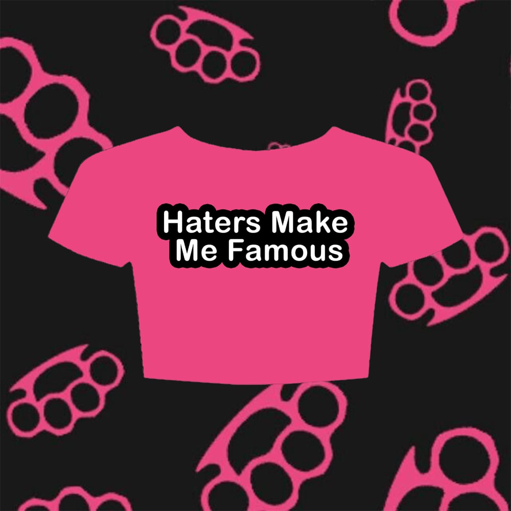 Haters Crop Top