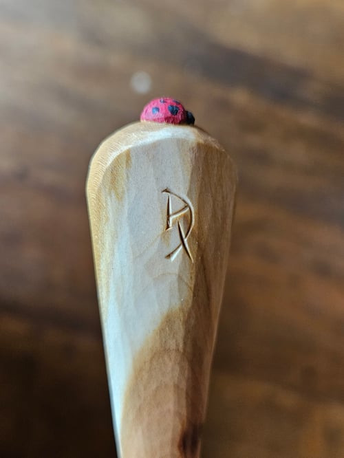 Image of Cherry Ladybeetle Scoop 