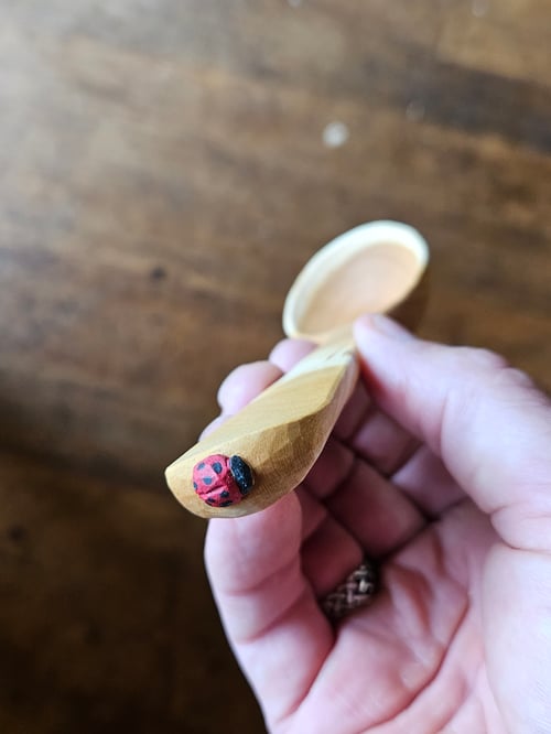 Image of Cherry Ladybeetle Scoop 