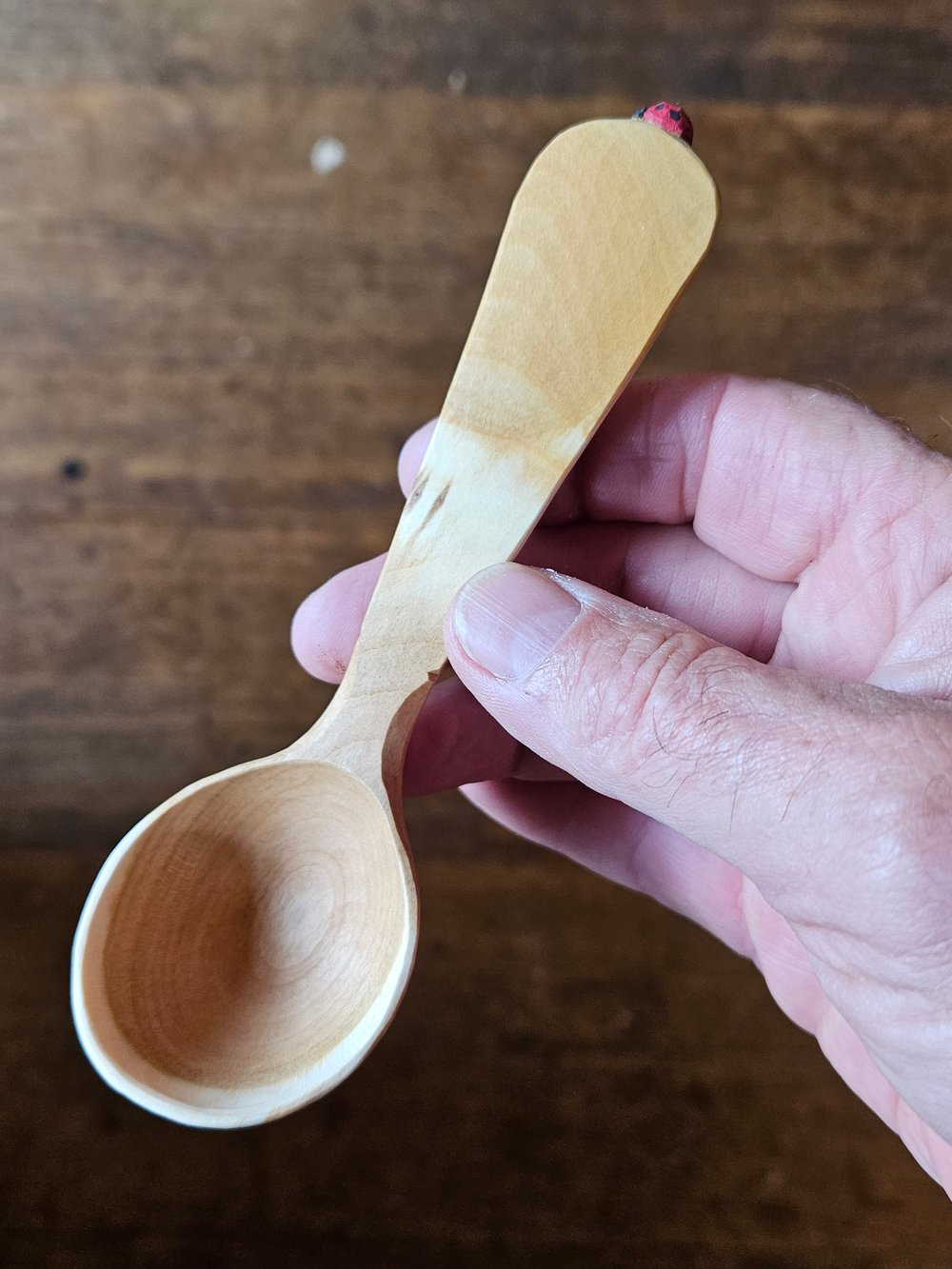 Image of Cherry Ladybeetle Scoop 