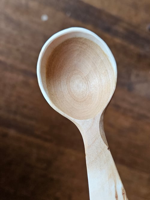 Image of Cherry Ladybeetle Scoop 