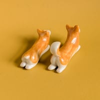 Image 5 of corgi