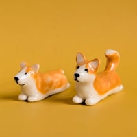 Image 4 of corgi