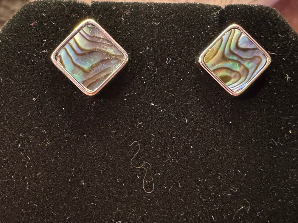Image of Abalone Shell Earrings