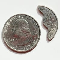 Image 3 of Bite Out Quarter